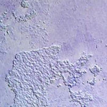 _th2fbaff709d158e51a644bd9eda81dfa5