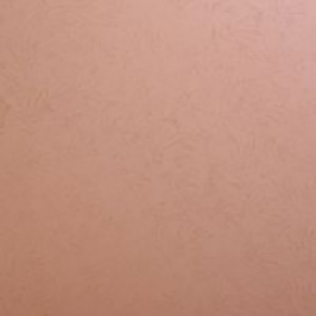 _th86ab6701de0a2a2f6039646c3c705777