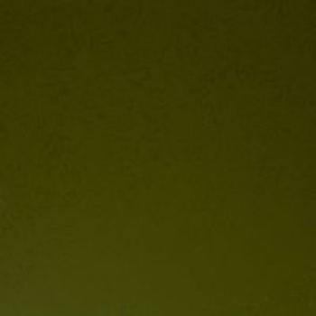 _th9026194425b0b337affce7db5e9a671a